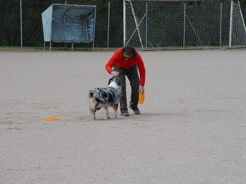 DISC DOG Belluno