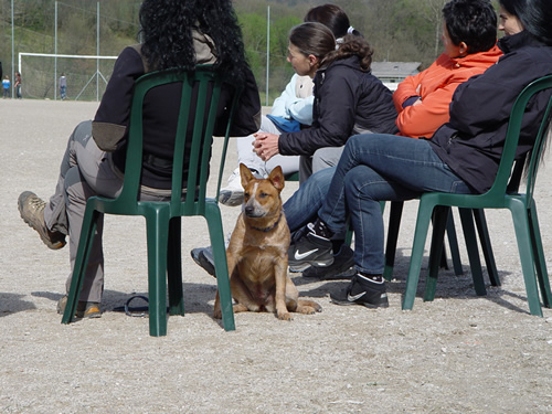 DISC DOG Gianmarco Pretto