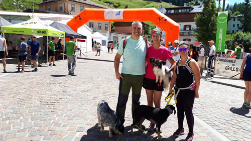 dog trail belluno