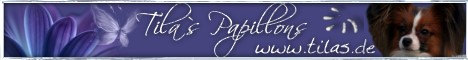 Tila's Papillon