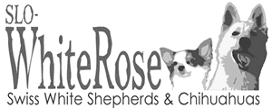 White Rose kennel